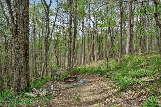 1399 Adamson Branch Rd, Liberty, TN 37095