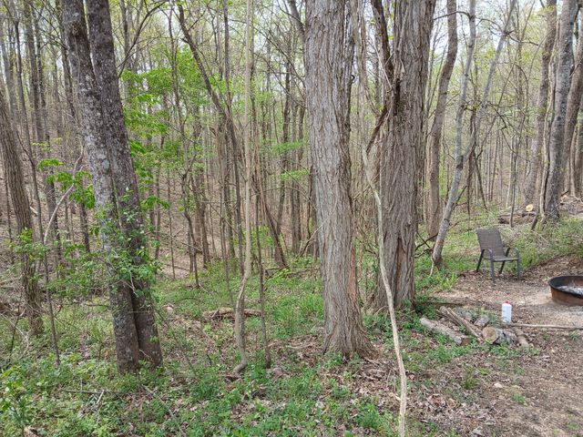 1399 Adamson Branch Rd, Liberty, TN 37095