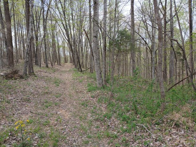 1399 Adamson Branch Rd, Liberty, TN 37095