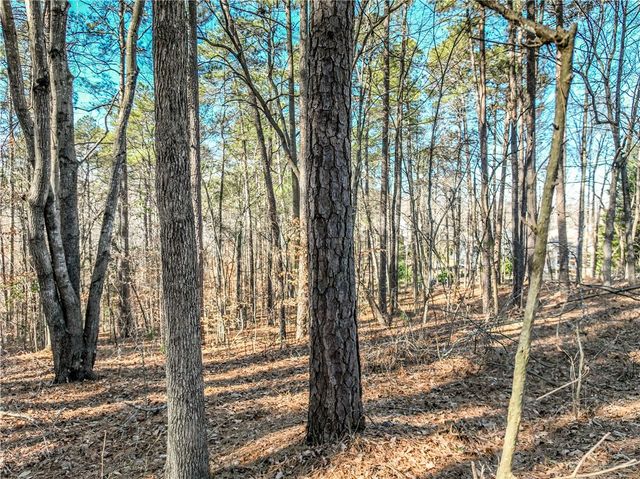 806 Bright Leaf Court, Se Bright Leaf Court, Seneca, SC 29672