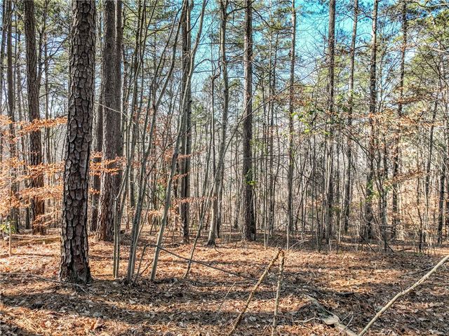 806 Bright Leaf Court, Se Bright Leaf Court, Seneca, SC 29672