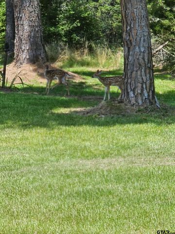 782 AN County Road 325, Frankston, TX 75763