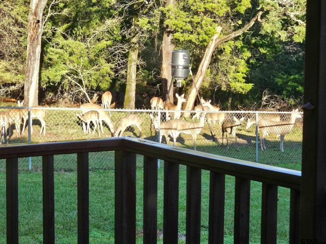 782 AN County Road 325, Frankston, TX 75763