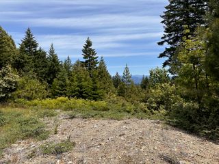 165 Three Creeks Road, Titlow Hill, CA 95525