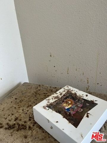 2 Bella Minozza, Lake Elsinore, CA 92532