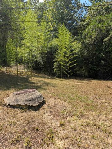 5397 Hwy 24, Chidester, AR 71726