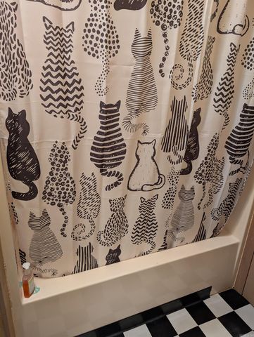 5397 Hwy 24, Chidester, AR 71726