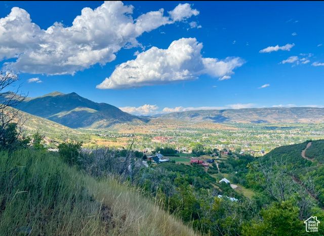 1429 BERRY'S WAY # 146, Midway, UT 84049