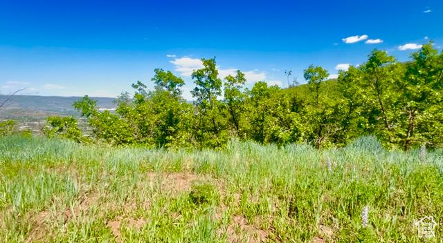 1429 BERRY'S WAY # 146, Midway, UT 84049
