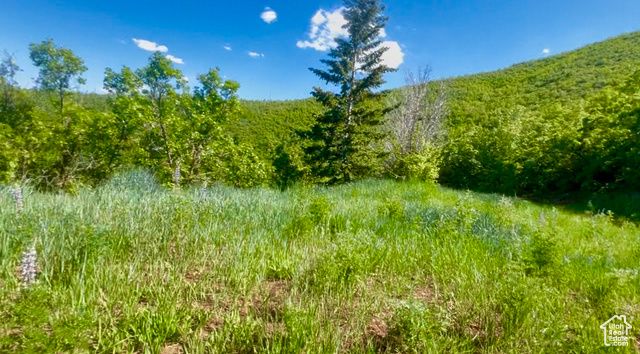 1429 BERRY'S WAY # 146, Midway, UT 84049