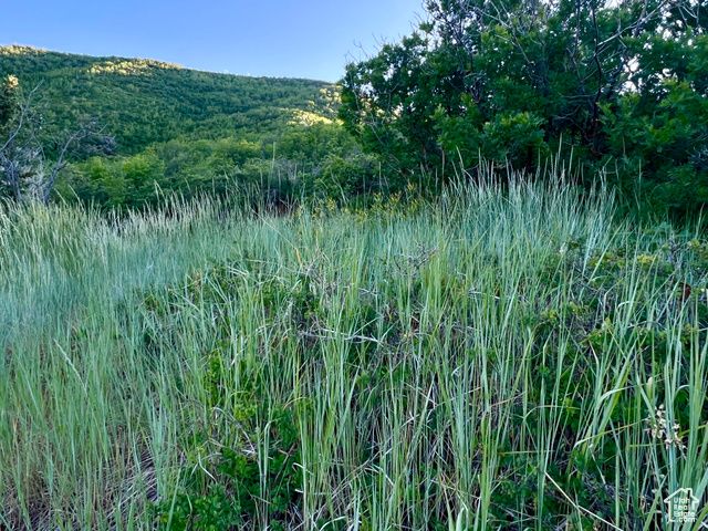 1429 BERRY'S WAY # 146, Midway, UT 84049