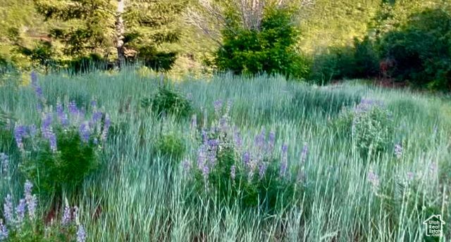 1429 BERRY'S WAY # 146, Midway, UT 84049