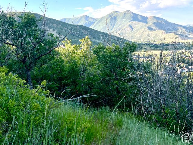 1429 BERRY'S WAY # 146, Midway, UT 84049