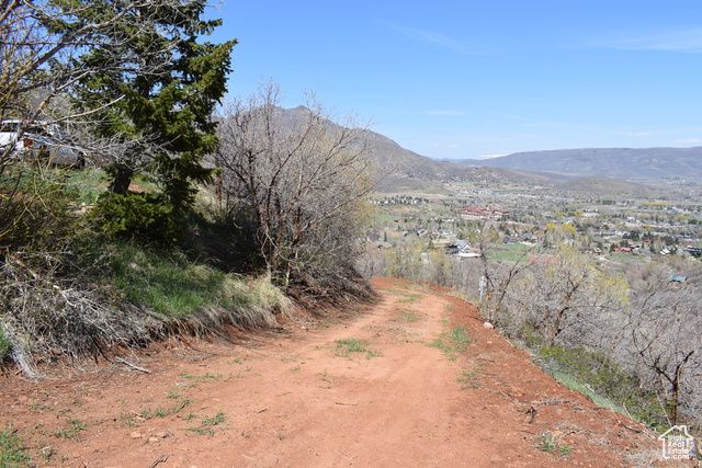 1429 BERRY'S WAY # 146, Midway, UT 84049