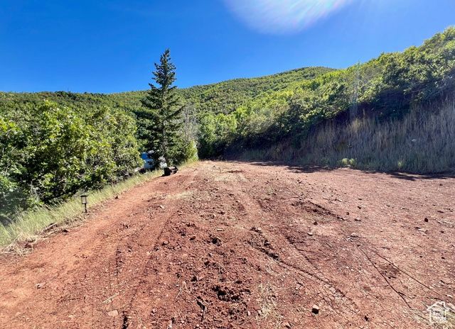 1429 BERRY'S WAY # 146, Midway, UT 84049