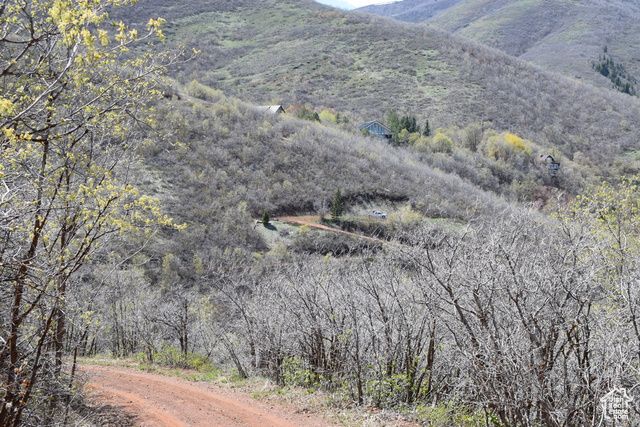 1429 BERRY'S WAY # 146, Midway, UT 84049