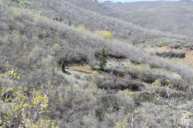 1429 BERRY'S WAY # 146, Midway, UT 84049