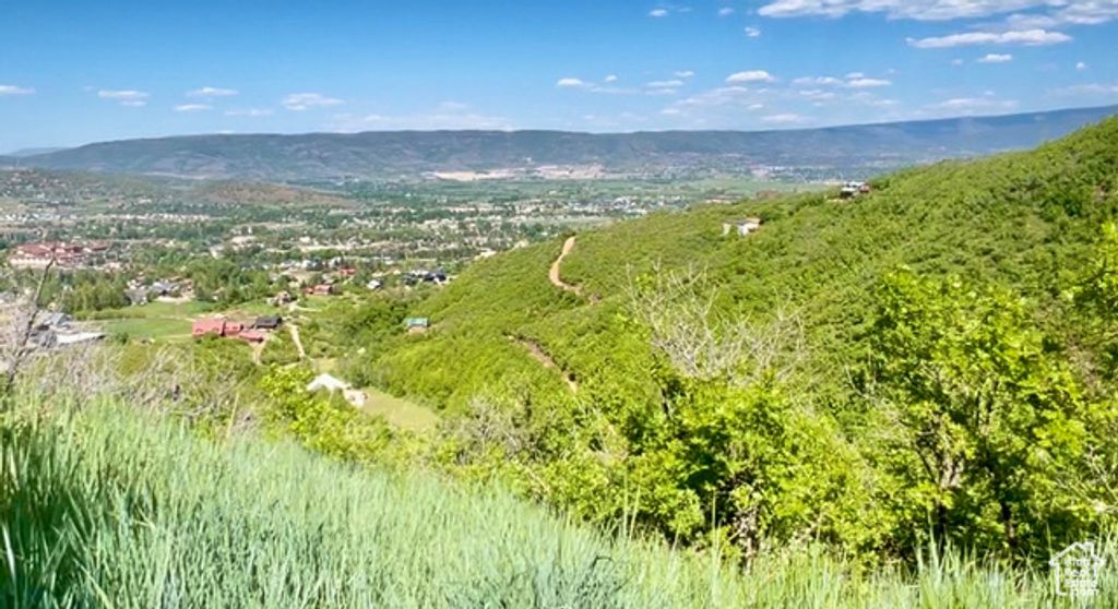 1429 BERRY'S WAY # 146, Midway, UT 84049