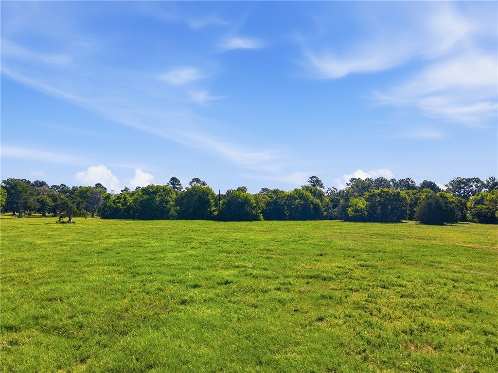 TBD Farm to Market Rd 2562, Anderson, TX 77830 — exterior