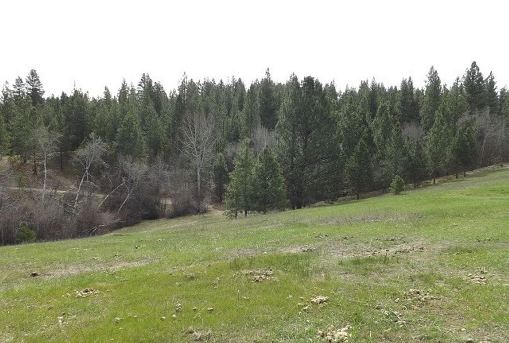 Image 54 of property listing at 1179 Garden Place, Hamilton, MT 59840