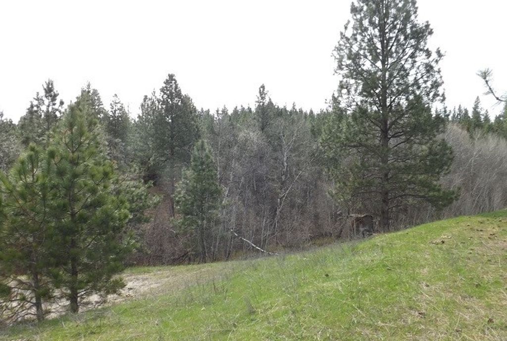 Image 55 of property listing at 1179 Garden Place, Hamilton, MT 59840