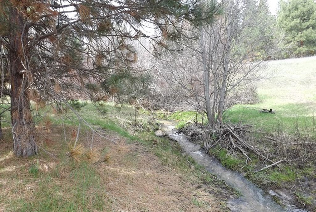 Image 56 of property listing at 1179 Garden Place, Hamilton, MT 59840