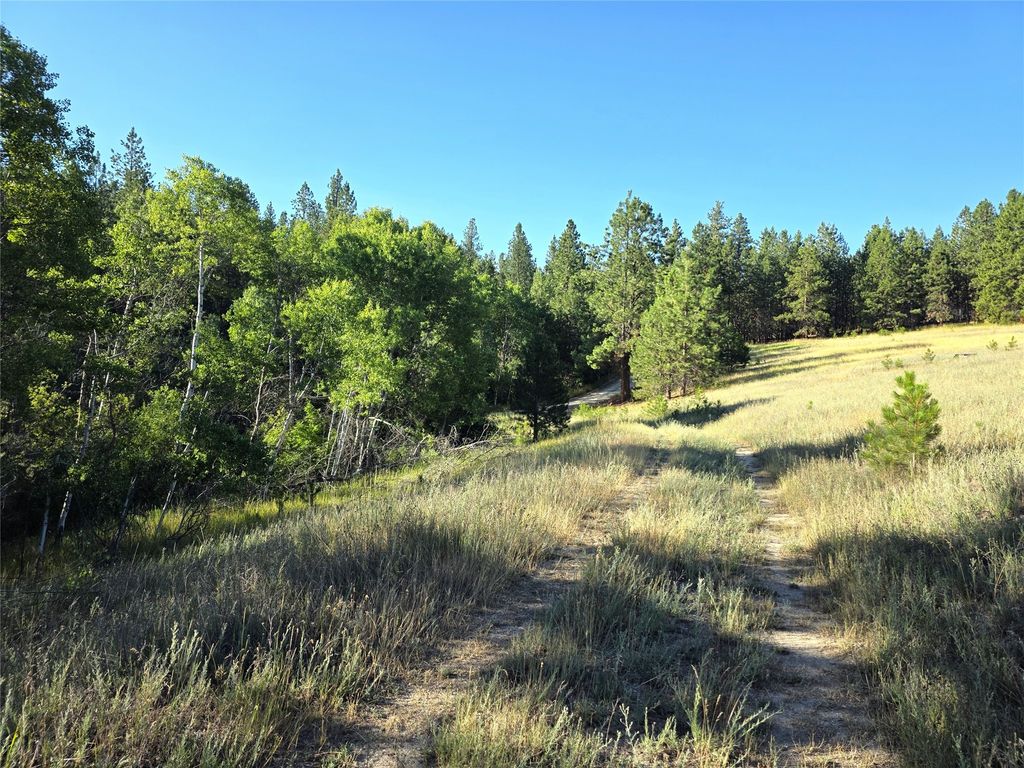 Image 72 of property listing at 1179 Garden Place, Hamilton, MT 59840