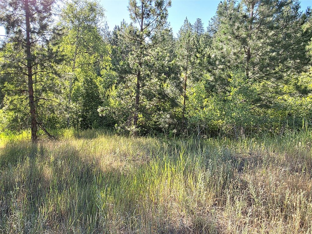 Image 76 of property listing at 1179 Garden Place, Hamilton, MT 59840