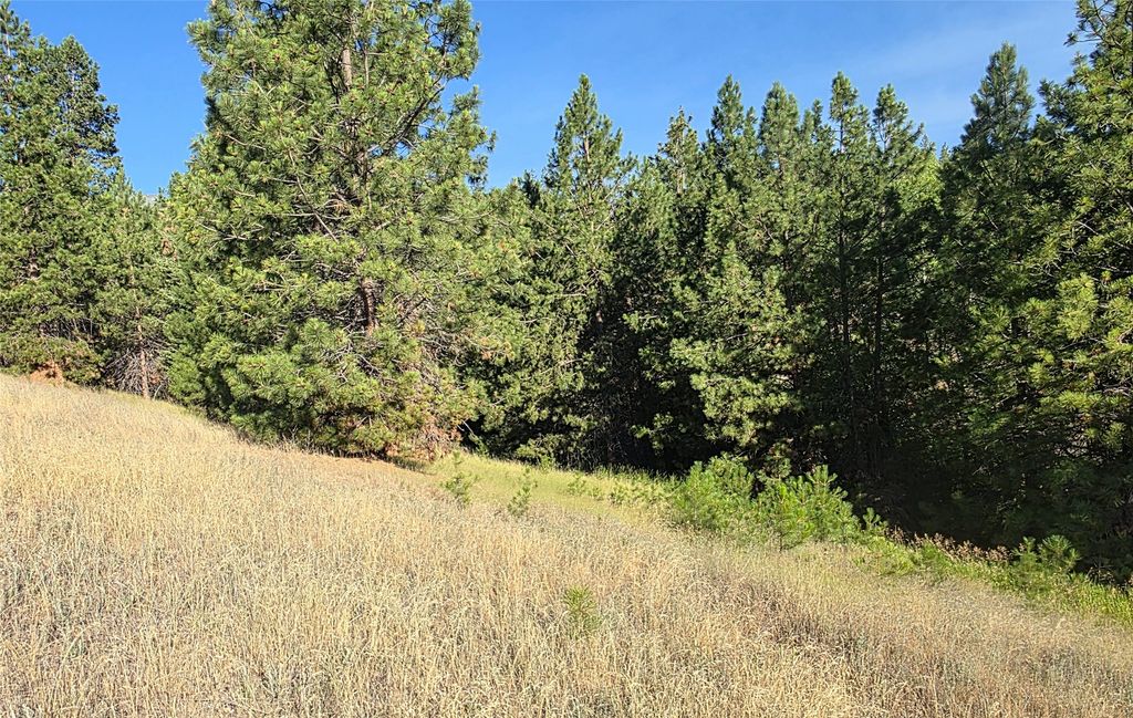 Image 77 of property listing at 1179 Garden Place, Hamilton, MT 59840