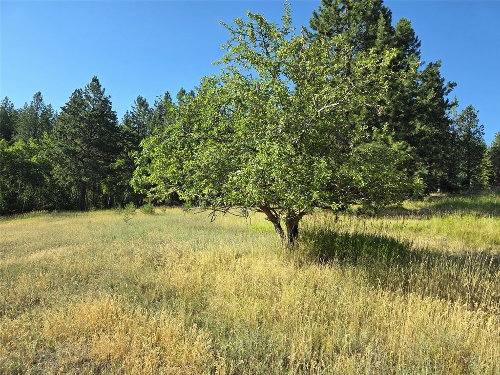 Image 83 of property listing at 1179 Garden Place, Hamilton, MT 59840