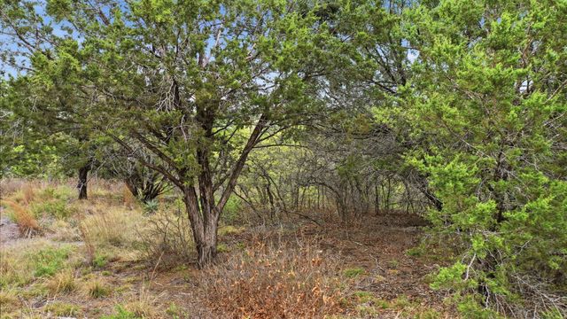 TR956 Majestic Shores, Bluff Dale, TX 76433