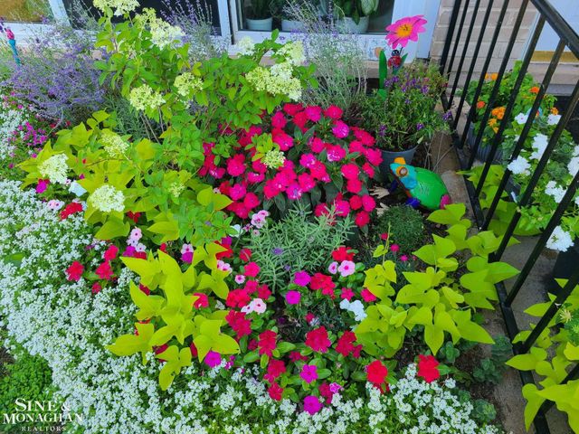 809 Sunset Lane, Saint Clair Shores, MI 48082