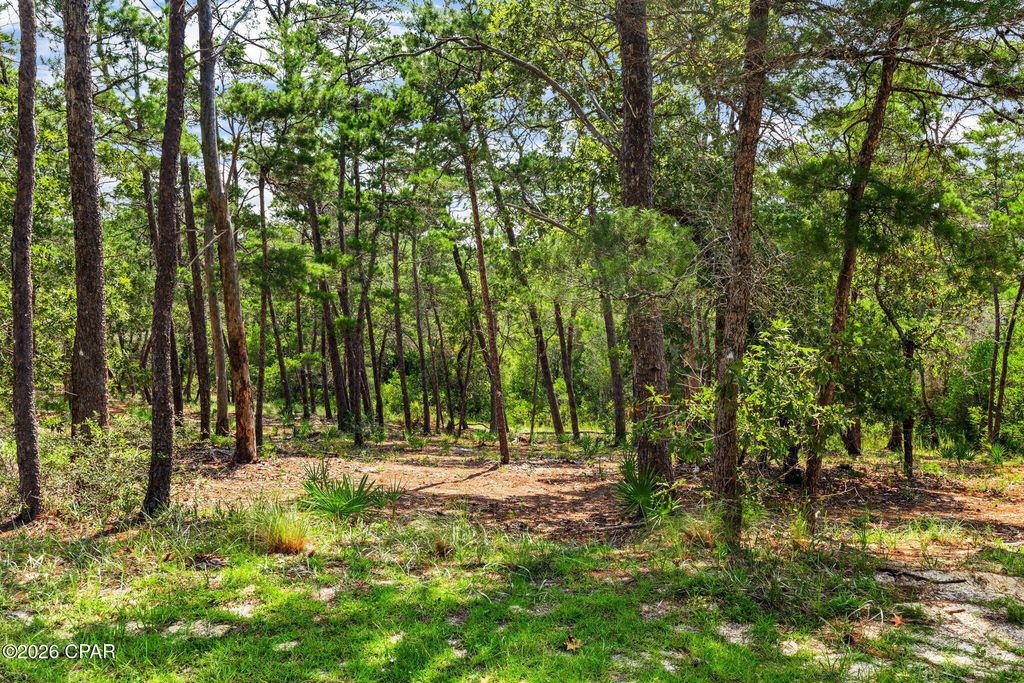 Image 14 of property listing at 1745 Lost Cove Lane, Panama City Beach, FL 32413