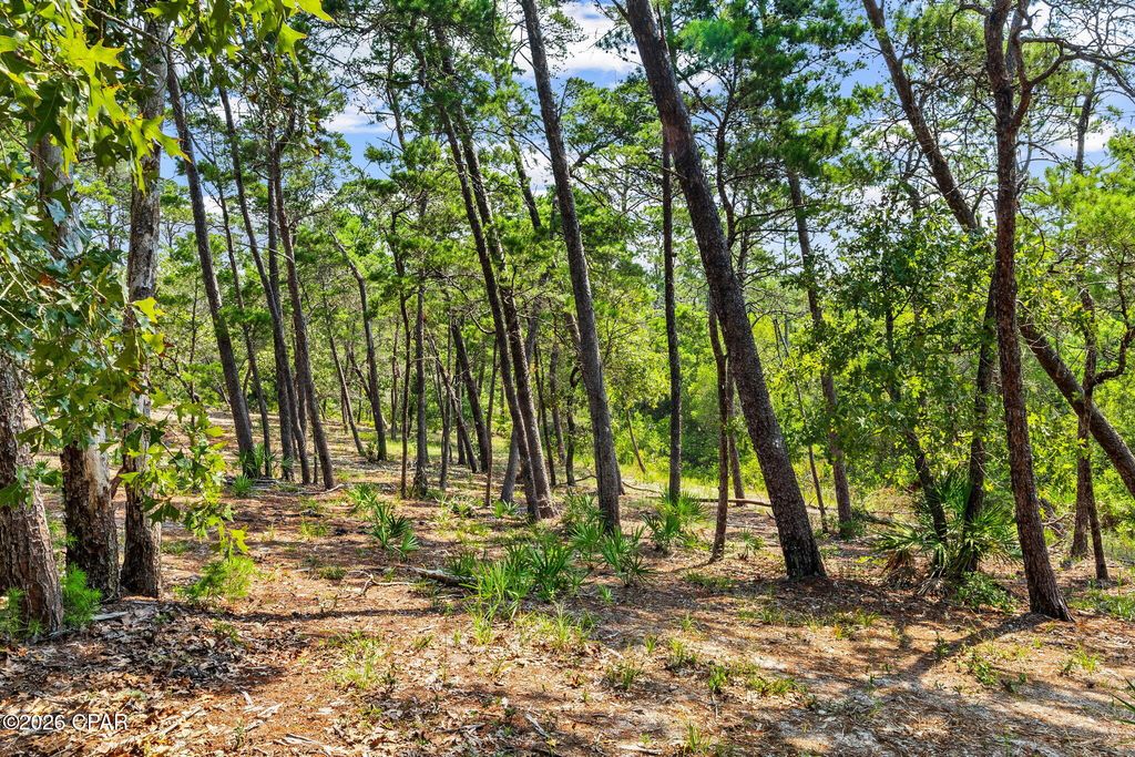 Image 15 of property listing at 1745 Lost Cove Lane, Panama City Beach, FL 32413
