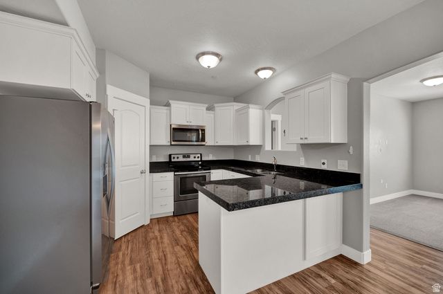211 W RIDGE RD, Saratoga Springs, UT 84045