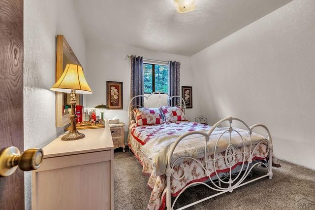 203 County Rd 370, San Isabel, CO 81069