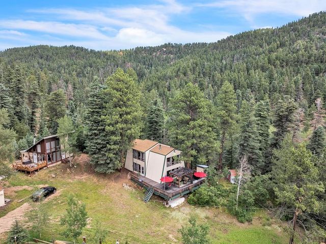 203 County Rd 370, San Isabel, CO 81069