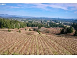 Bolton Hill Rd, Veneta, OR 97487