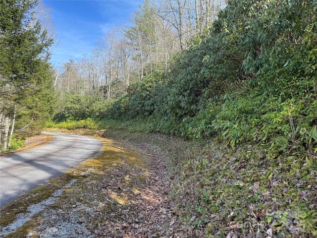 L13 Black Bear Court, Sapphire, NC 28774
