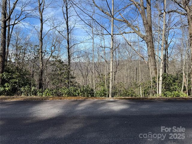 L13 Black Bear Court, Sapphire, NC 28774