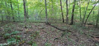 25 Down Place, Monterey, TN 38574