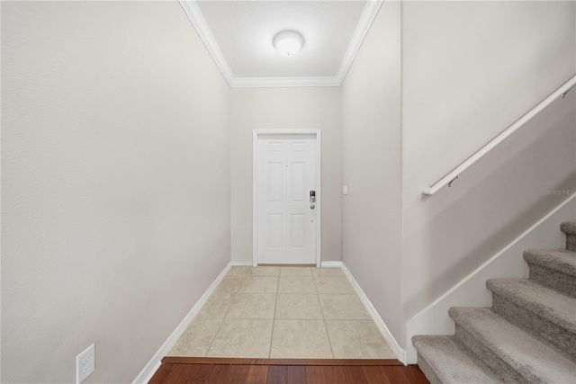 8605 FIDDLELEAF COURT, Tampa, FL 33647