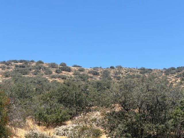 1 Shannon Valley Road, Acton, CA 93510