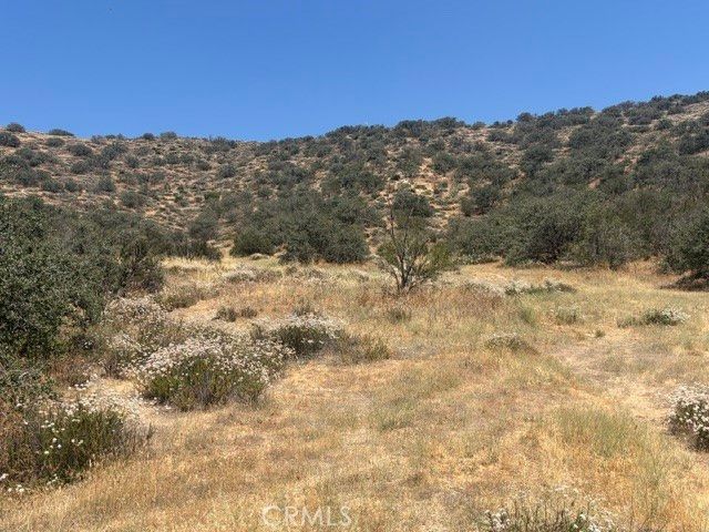 1 Shannon Valley Road, Acton, CA 93510