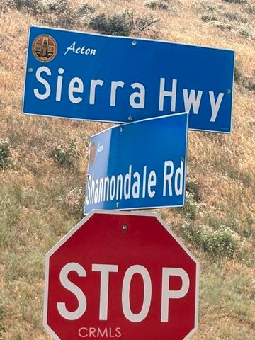 1 Shannon Valley Road, Acton, CA 93510