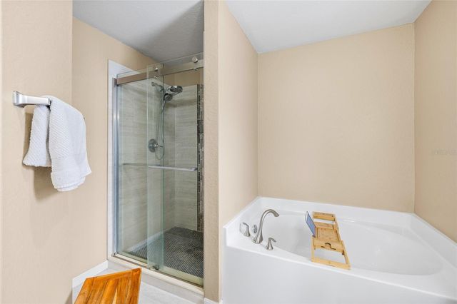11114 GOLDENROD FERN DRIVE, Riverview, FL 33569