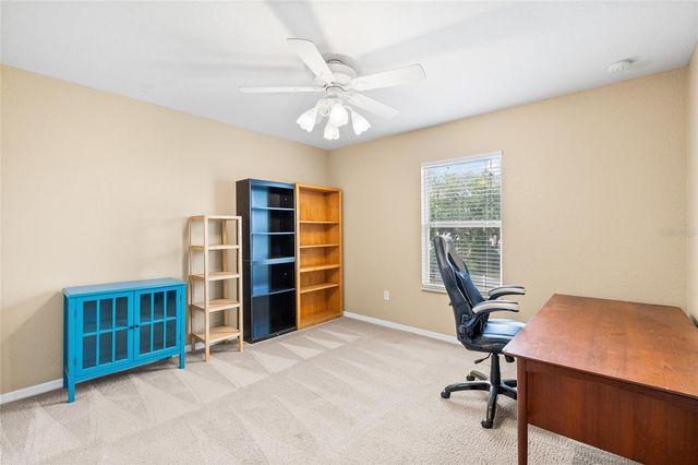 11114 GOLDENROD FERN DRIVE, Riverview, FL 33569