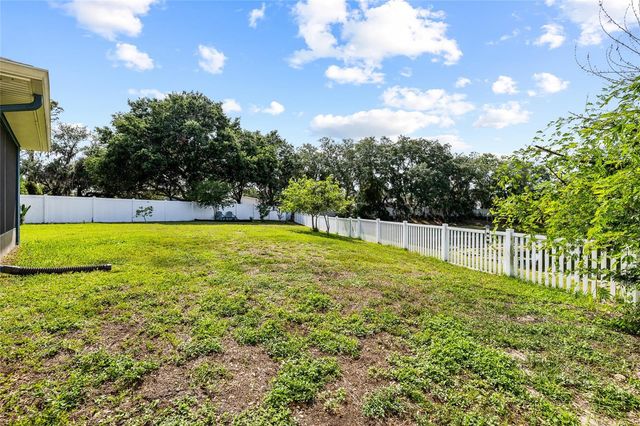 11114 GOLDENROD FERN DRIVE, Riverview, FL 33569
