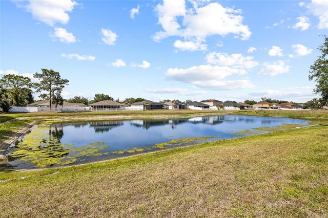 11114 GOLDENROD FERN DRIVE, Riverview, FL 33569
