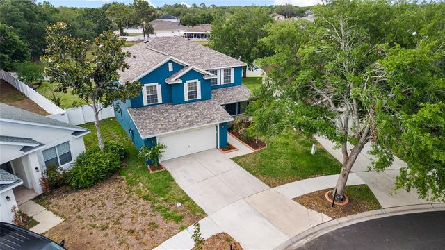 11114 GOLDENROD FERN DRIVE, Riverview, FL 33569